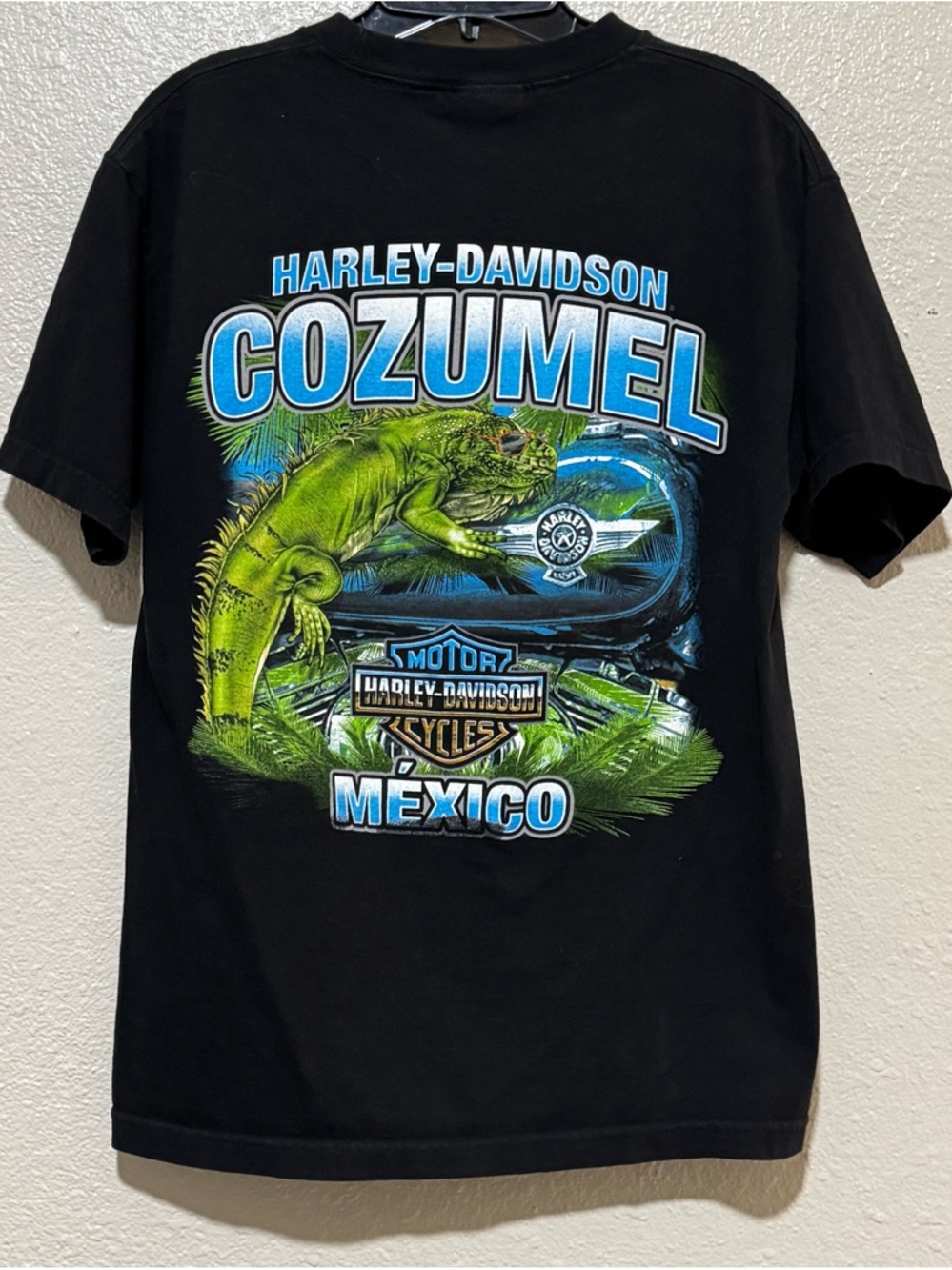 Harley Davidson Men’s Graphic Biker Tee Cozumel Mexico 2015 Iguana Moto Grunge